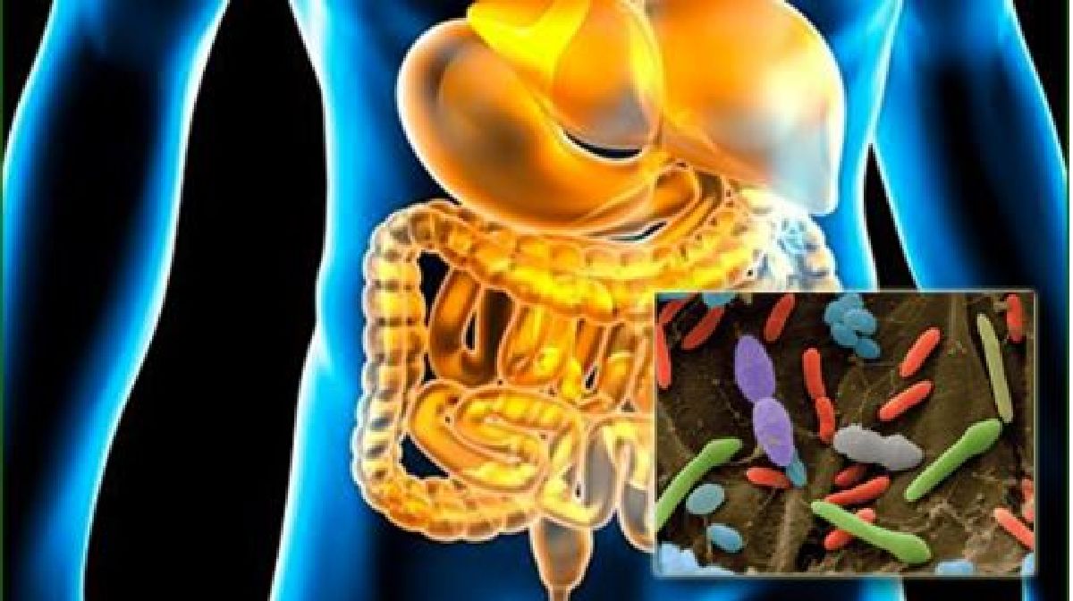 10 signes qui vous alertent que vos intestins sont surchargés de toxines qui vous rendent malades !