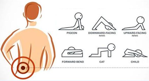 4 exercices pour soulager la douleur du bas du dos « lombalgies ».