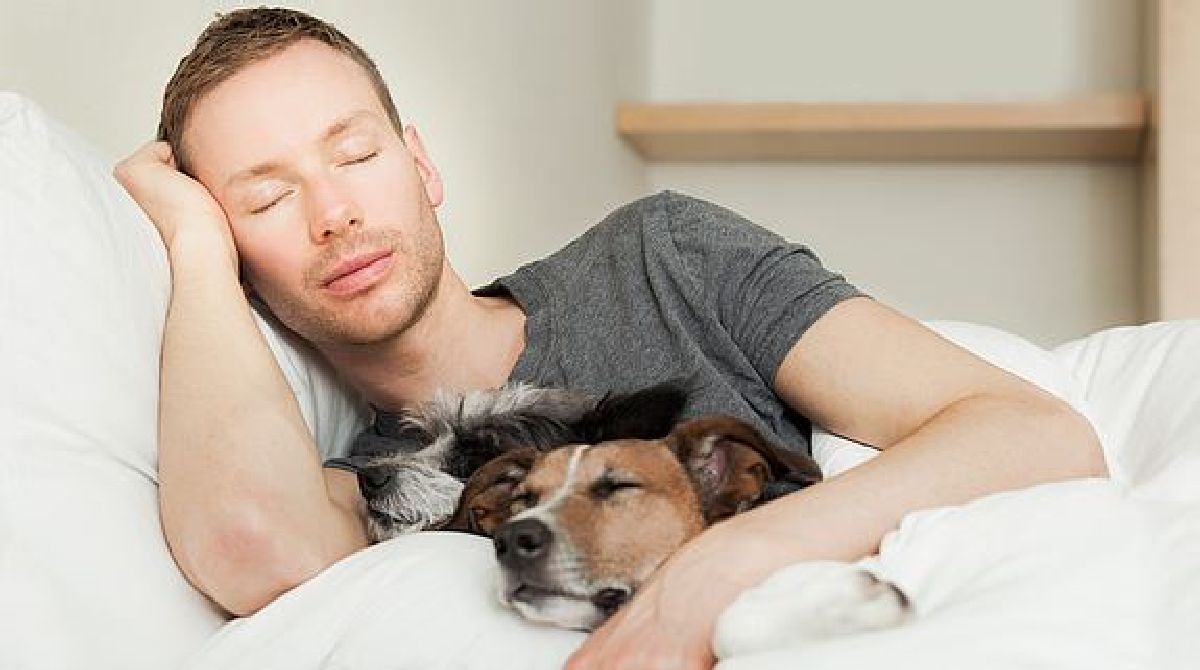 Cinq choses dans votre lit qui perturbent votre sommeil et vous rendent malades !