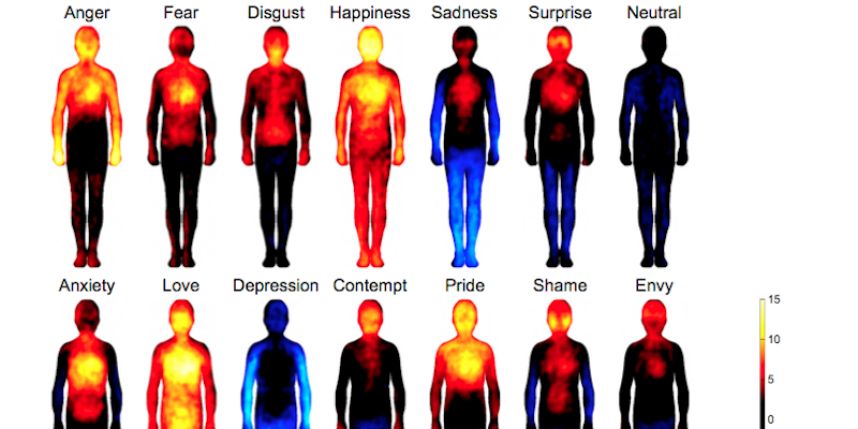 La carte corporelle de nos émotions révélée par une étude