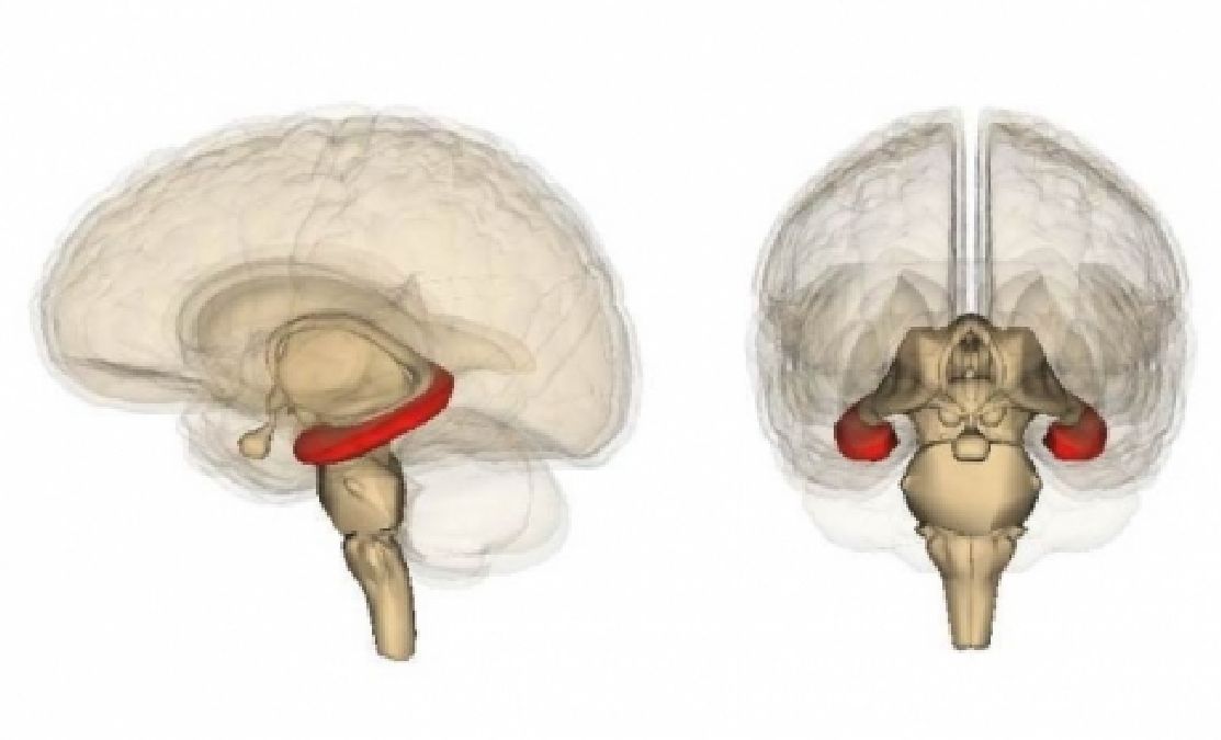 Des ondes cérébrales inconnues détectées dans le cerveau d’un patient plongé dans un coma