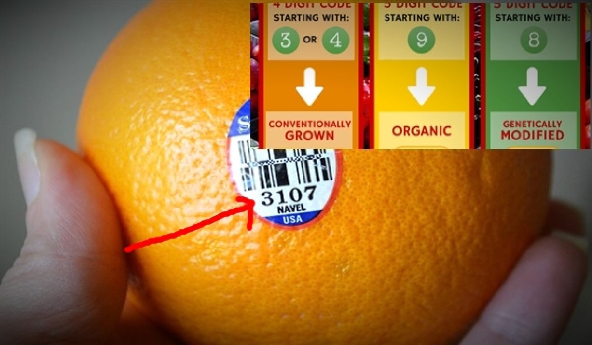 Voici ce que les étiquettes sur vos fruits signifient : faites attention !