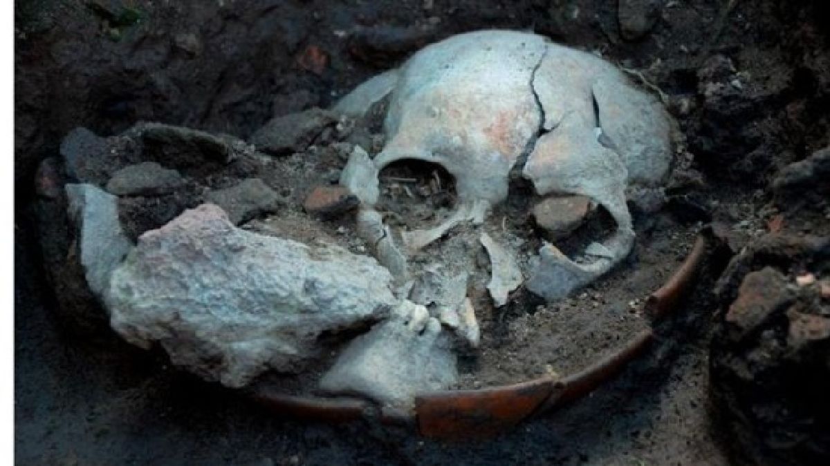 Un crâne précolombien découvert à Tlatelolco