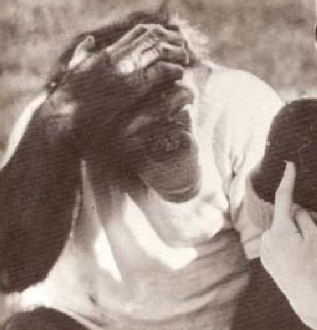 L’incroyable histoire de Washoe, le chimpanzé qui communiquait avec nous
