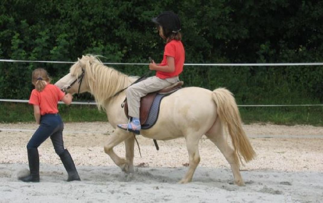L’équitation : une excellente activité sportive pour les enfants