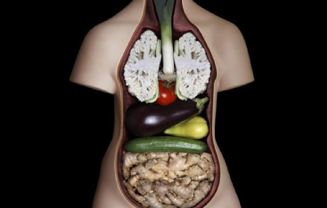 11 aliments qui sont semblables aux organes du corps qu’ils traitent