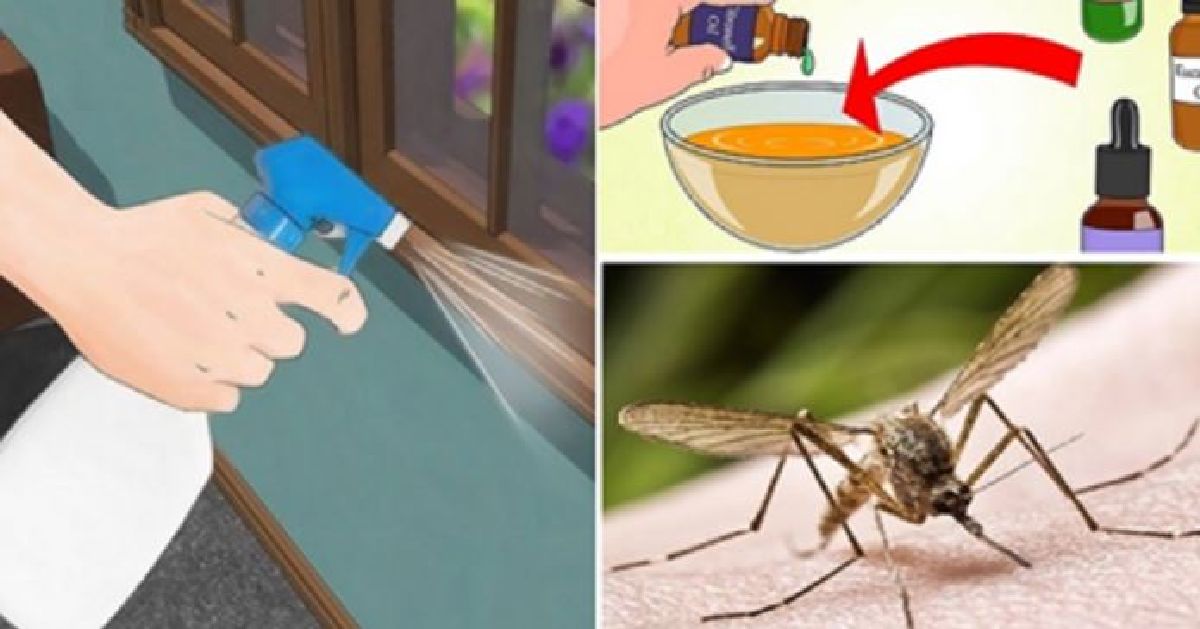 Une recette naturelle pour une lotion anti-moustiques