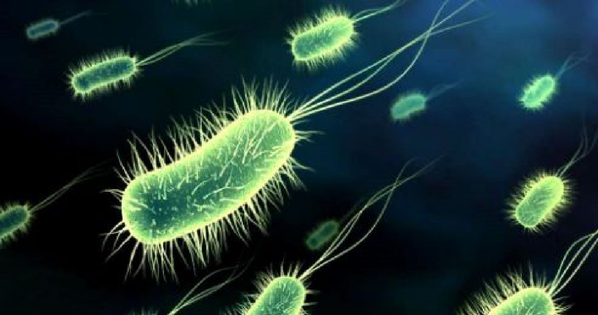 La prescription abusive d’antibiotiques tue a petit feu :Une Américaine tuée par une bactérie résistante à 26 antibiotiques