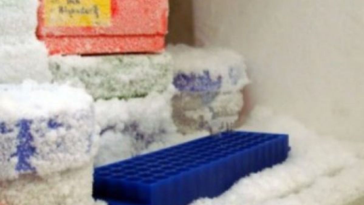 Une astuce géniale pour empêcher la formation de givre et glace dans votre congélateur !