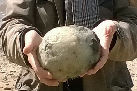 Ce couple va gagner 60 000 euros pour avoir trouvé cette pierre sur la plage : Savez-vous ce que c’est ?