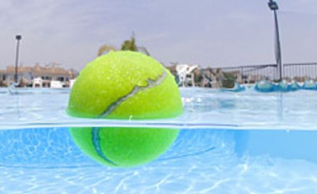 Dés que les Nageurs sortent de sa piscine, Il Lance des Balles de Tennis dans l’eau. la Raison est étonnante!