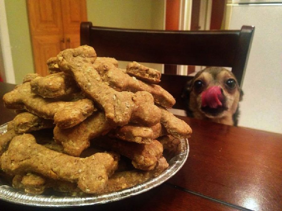 Une super recette de  biscuit pour votre chien !