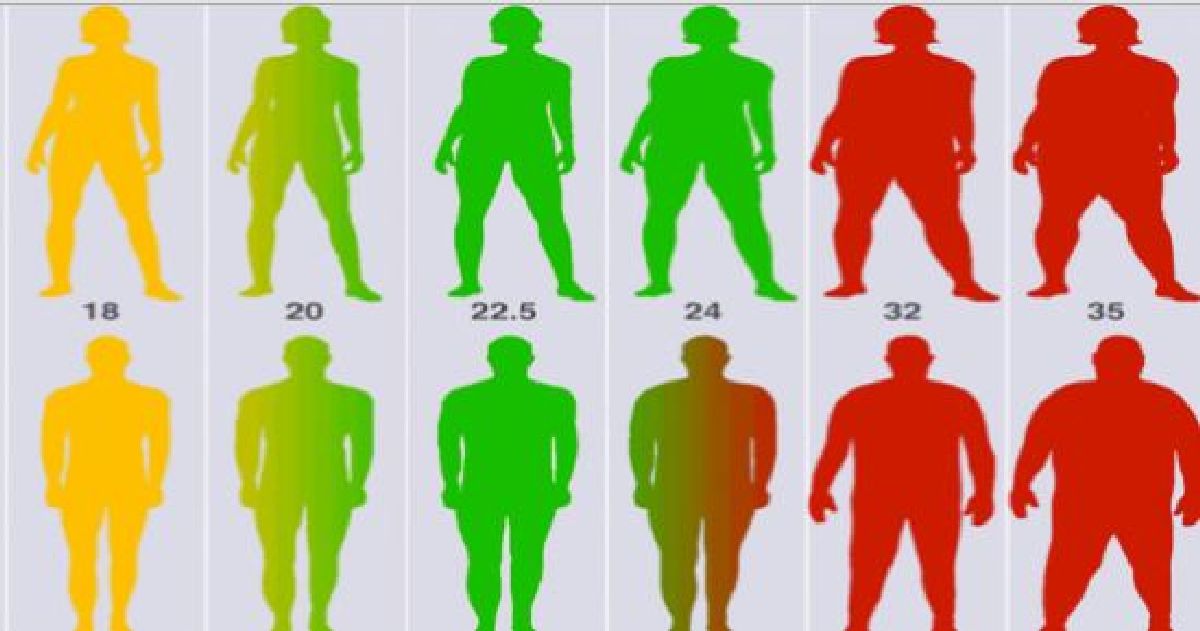 Calculez votre poids idéal en fonction de votre taille, votre âge et votre morphologie.