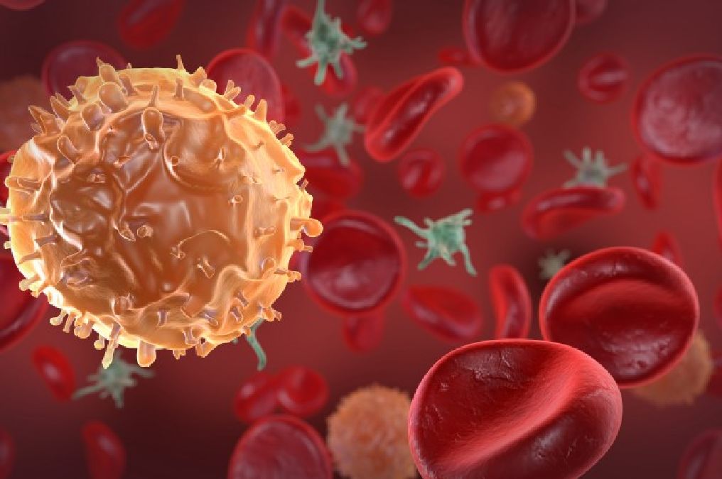 Les scientifiques transforment des cellules cancéreuses en cellules immunitaires
