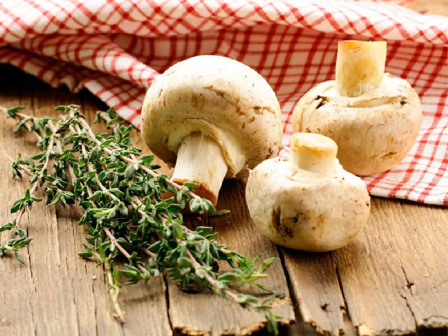 5 raisons pour lesquelles nous devrions manger plus de champignons