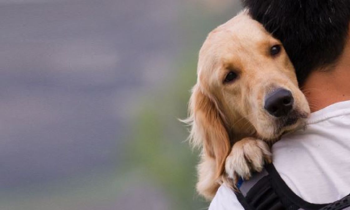 Les chiens consolent les humains tristes