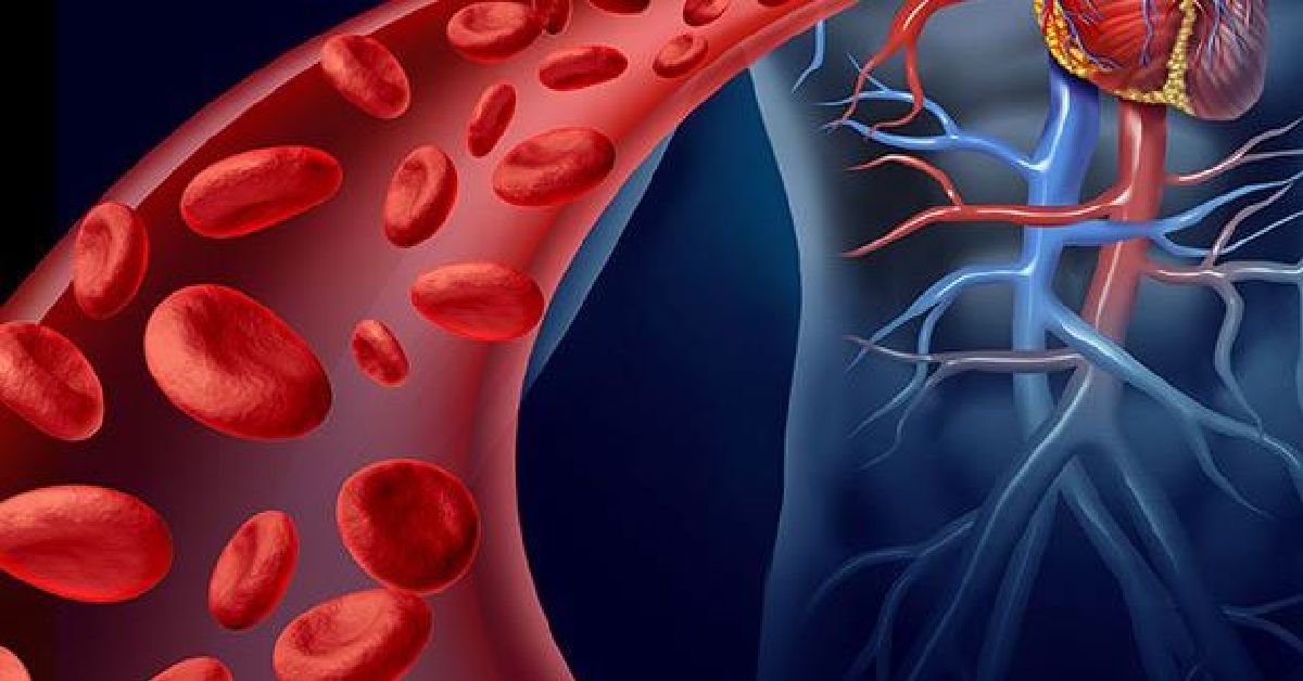 Améliorez votre circulation sanguine et votre tension artérielle en seulement 20 minutes par jour !