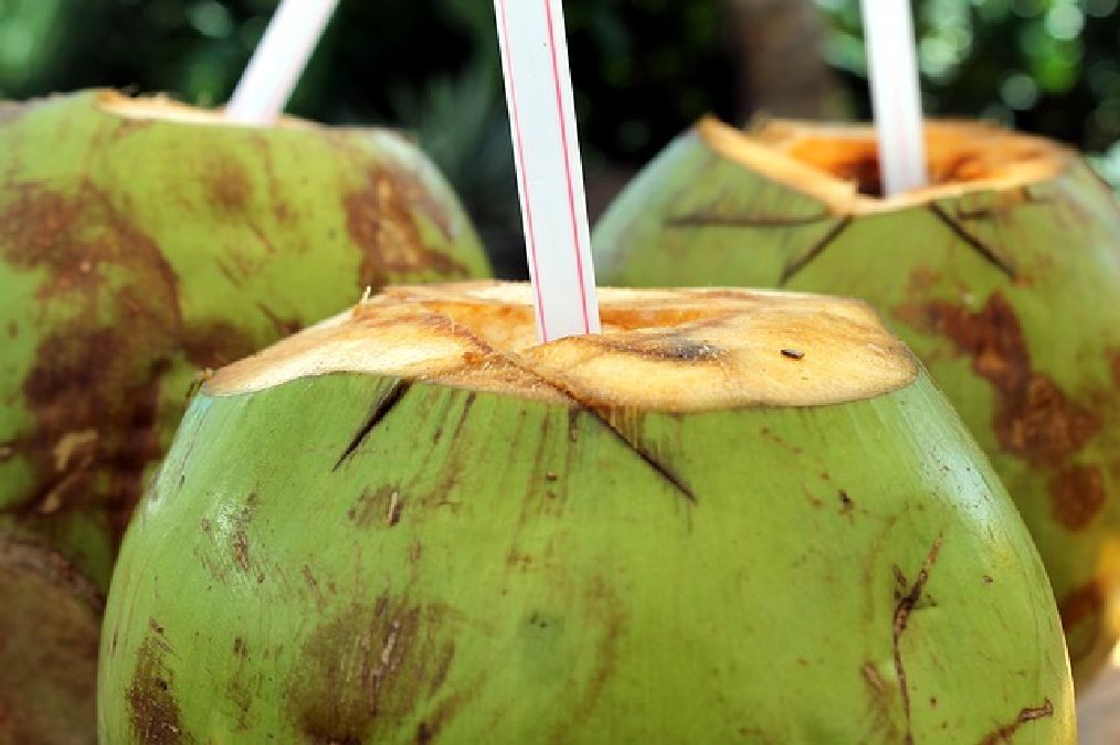 10 raisons pour lesquelles l’eau de coco va révolutionner votre santé