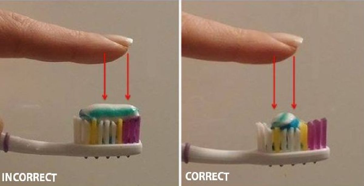 Combien de dentifrice vous devriez utiliser pour tuer les bactéries dans votre bouche et vous débarrasser de la mauvaise haleine, du tartre et des plaques