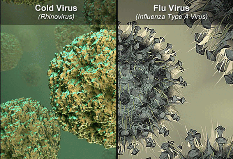 L’incroyable vérité que les médecins ne veulent pas vous révéler sur le rhume et la grippe