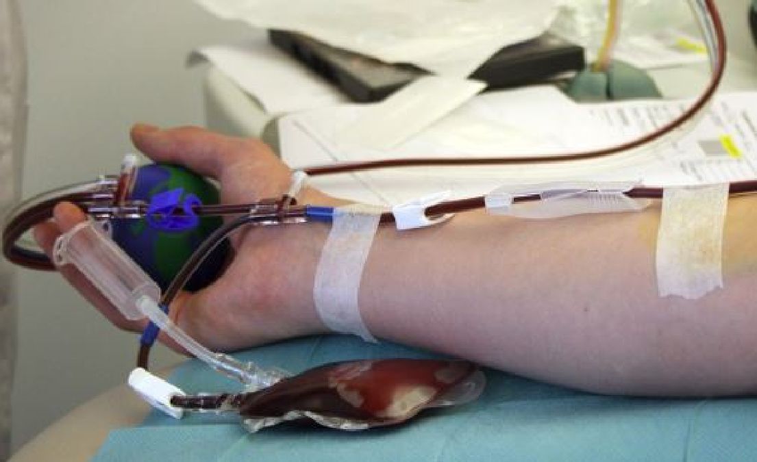 Intox : Pas de catégorie « halal » dans les dons de sang