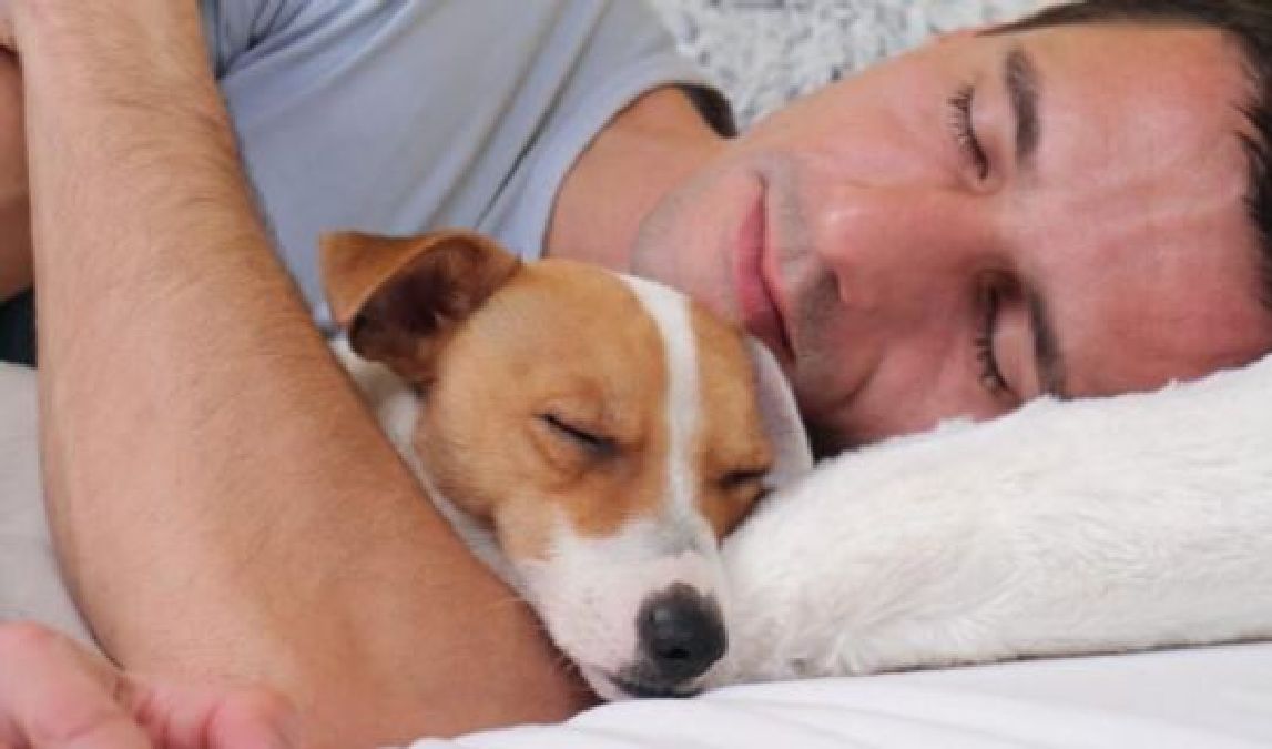 2 avantages incroyables à dormir avec son chien