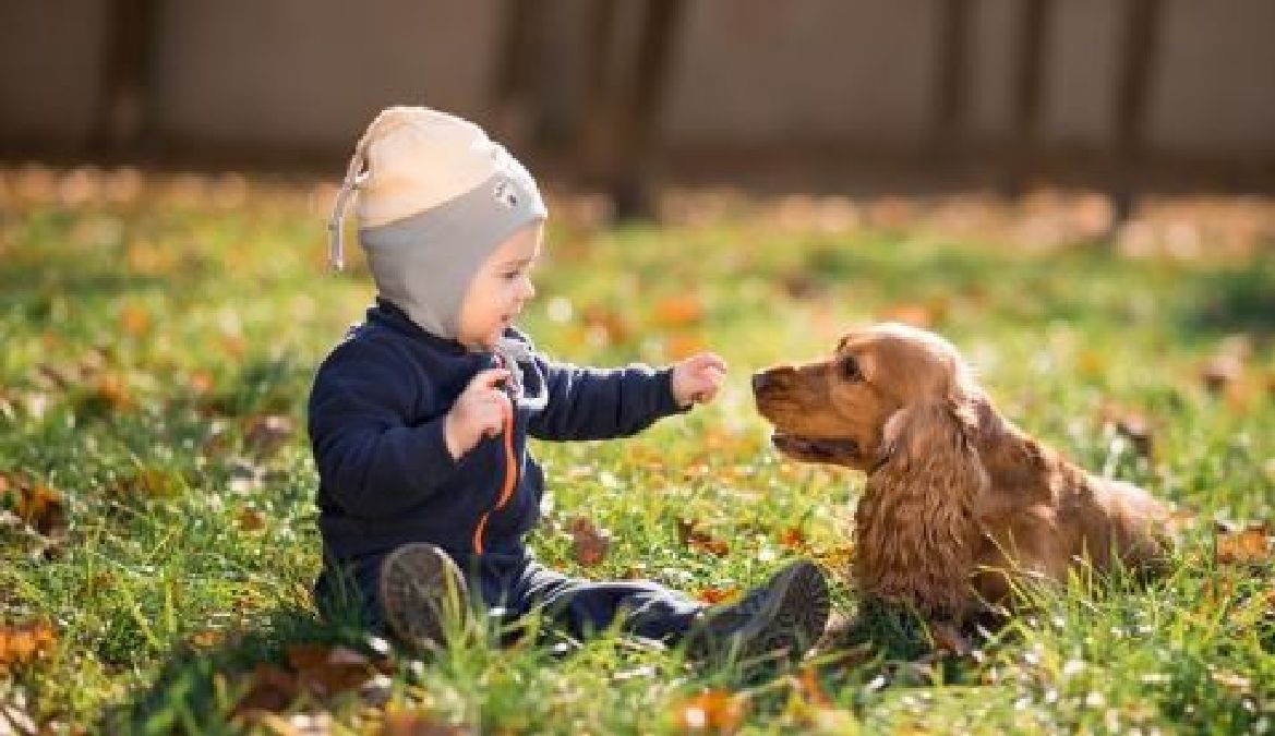 Avoir un chien peut protéger les enfants contre les allergies et l’obésité