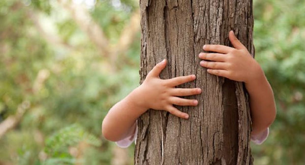 Science à l’appui : enlacer des arbres est bon pour la santé !