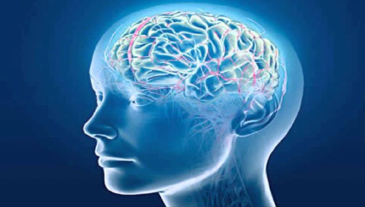 Identification d’un lien entre l’esprit et les neurones
