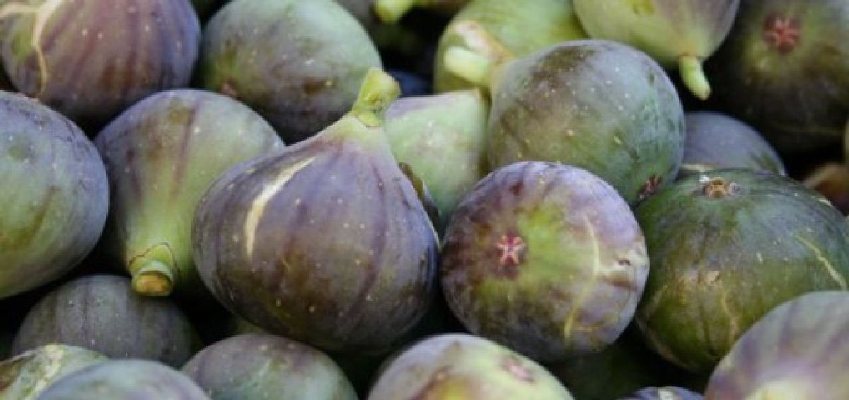 Savez-vous ce qui arrive lorsque vous trempez 40 figues dans de l’huile d’olive?