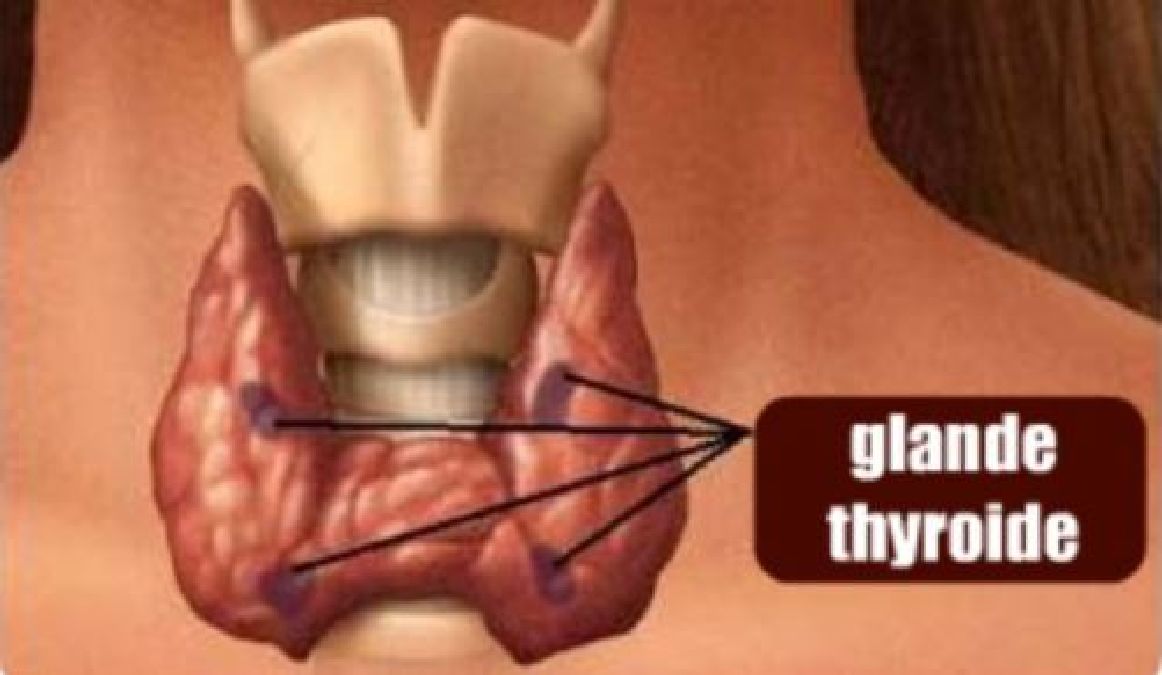 Quels sont les symptômes produits par les troubles de la thyroïde ?