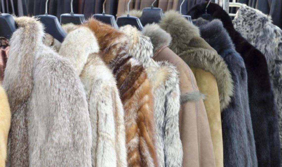 Victoire pour la cause animale : Gucci s’engage à arrêter les vêtement en  fourrure !