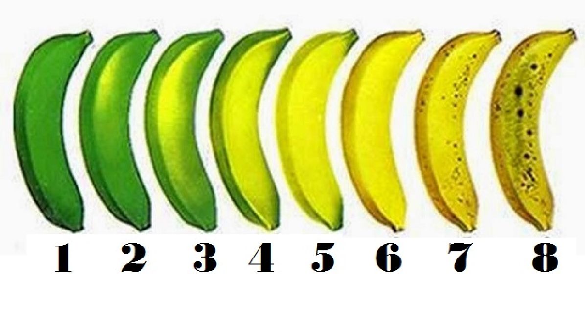 Devinez LAQUELLE de ces 8 bananes est la meilleure pour votre organisme.