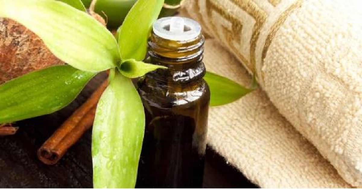 Découvrez les propriétés bienfaisantes de l’huile essentielle d’arbre à thé