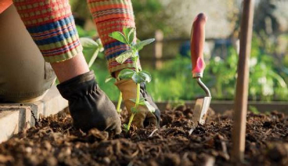 Le jardinage : L’antidépresseur naturel le plus efficace !