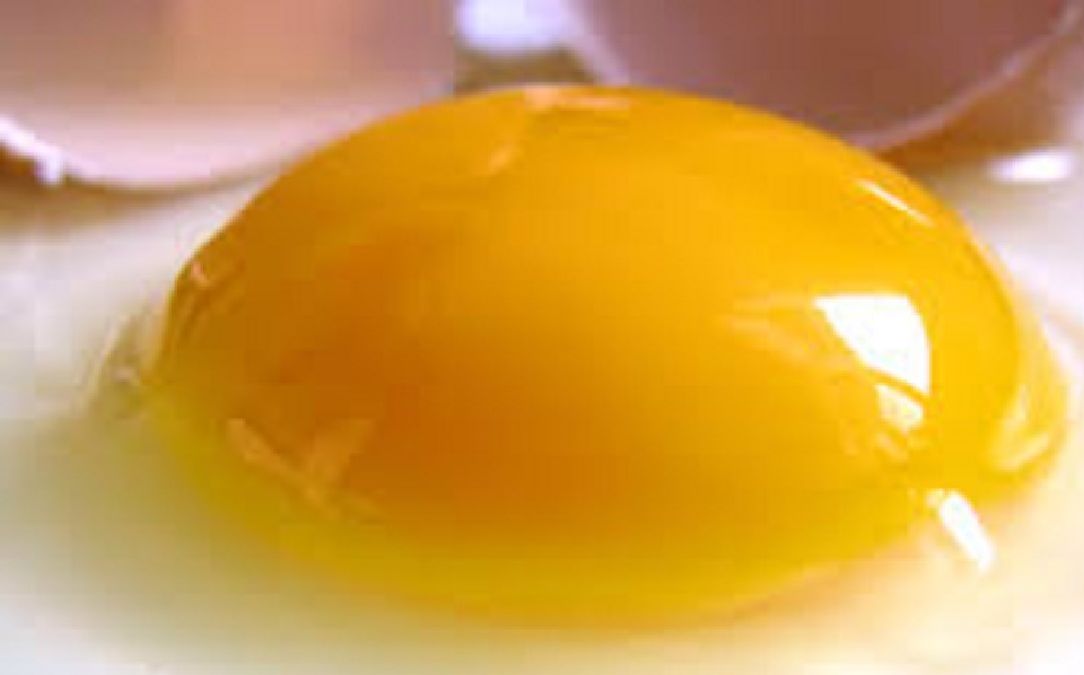 4-	Le jaune d’œuf est il dangereux pour la santé ?