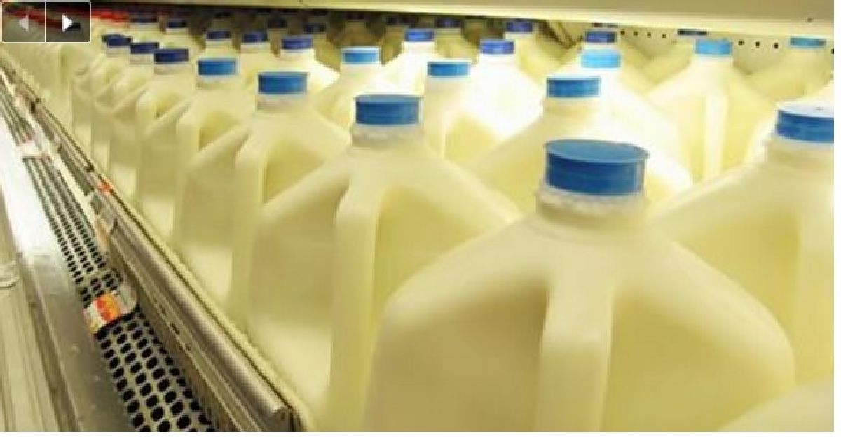 Les scientifiques d’Harvard vous déconseillent de boire du lait