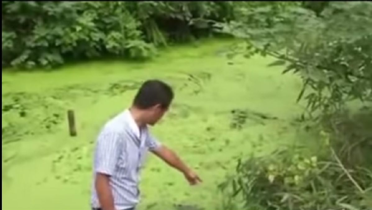 En se lavant les mains dans la rivière, un garçon de 11 découvre…