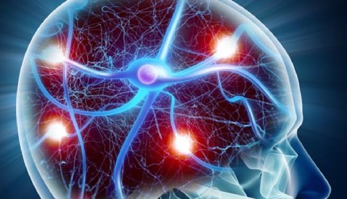 Une nouvelle recherche affirme que le Neurontin et le Lyrica auraient des effets néfastes sur la plasticité du cerveau