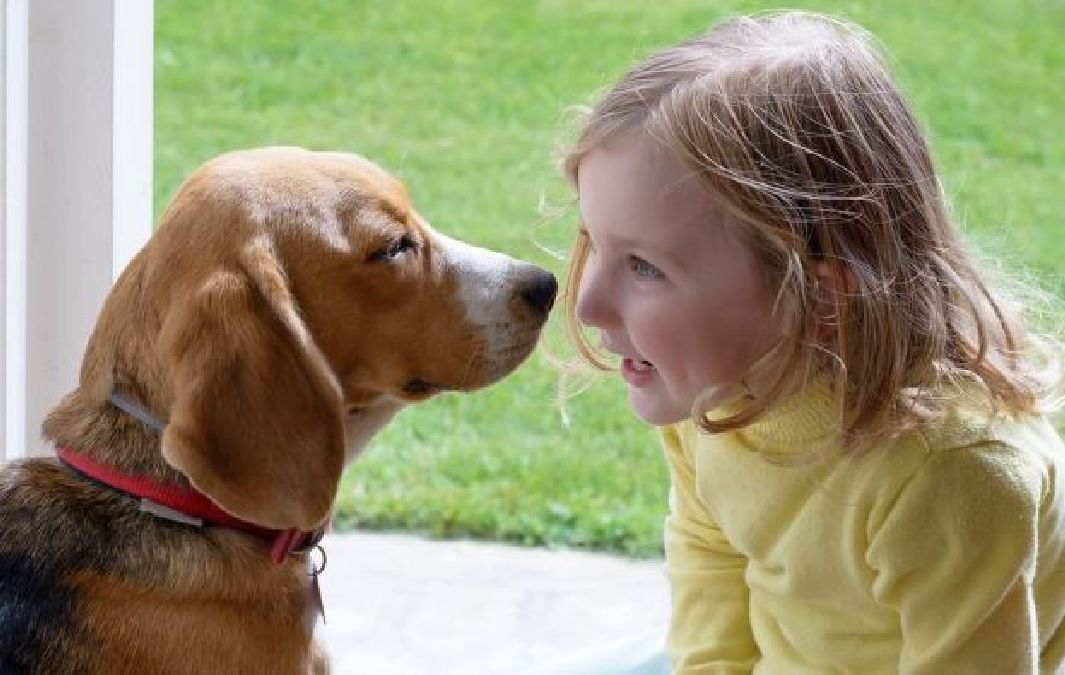 Les chiens peuvent réduire les risques d’allergies chez les enfants