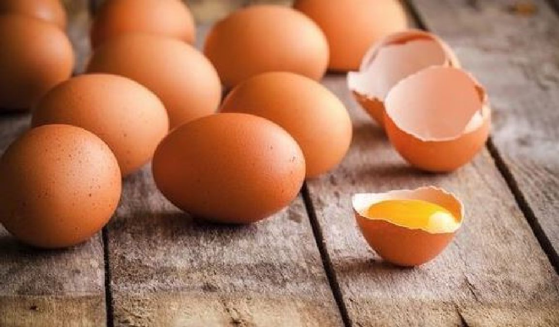 Les œufs commercialisés seront tous issus de poules élevées en plein air d’ici 2022
