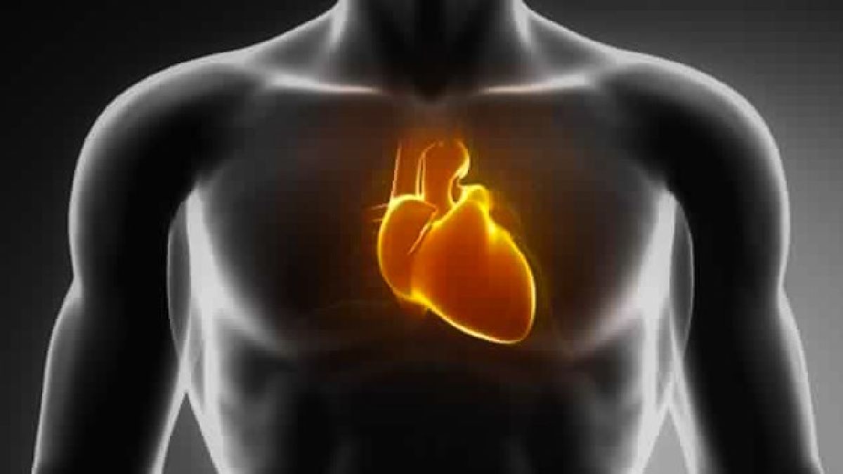Quelques habitudes de vie simples pour peut prévenir les accidents cardio-vasculaires