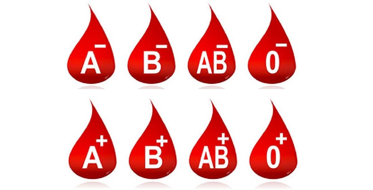 Comment réaliser le régime groupes sanguins ?