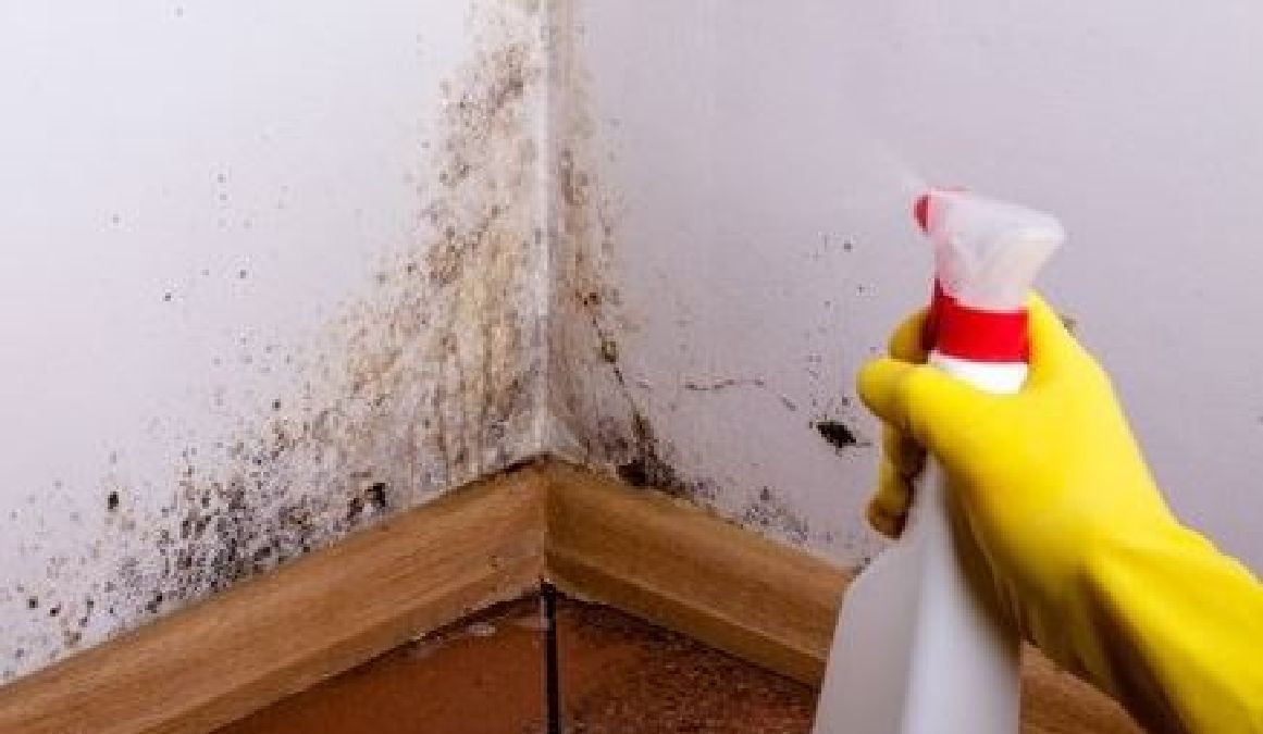 Un spray naturel fait maison pour chasser la moisissure et l’humidité dans votre maison !