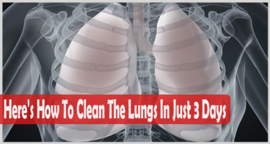 Comment nettoyer vos poumons facilement en  3 jours seulement !