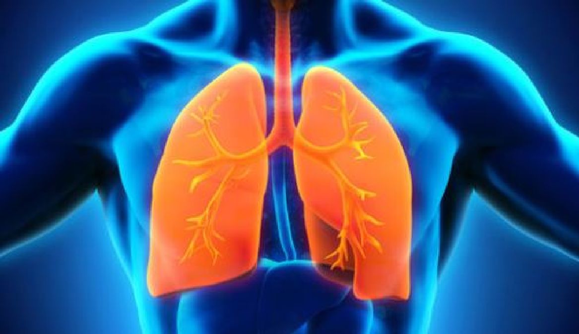 5 astuces qui vous permettront de désintoxiquer vos poumons naturellement