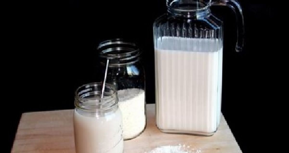 3 recettes délicieuses avec du lait végétal que vous devez absolument essayer