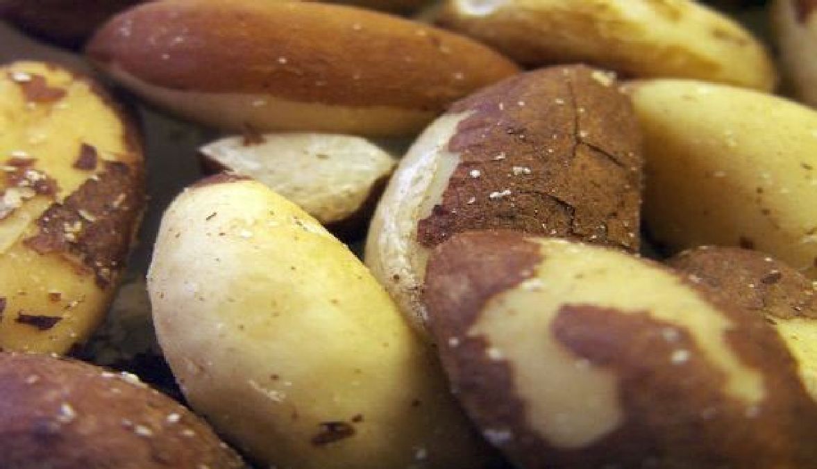 Pourquoi prendre de dangereuses Statines alors que vous pourriez manger 4 de ces noix une fois par mois pour traiter ..