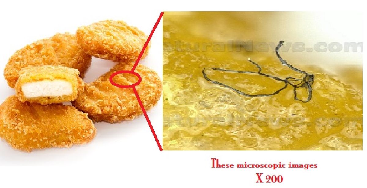 Des choses étranges trouvées au microscope dans les nuggets de poulets