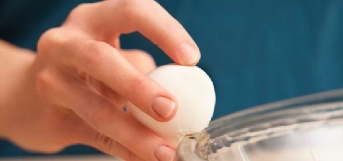 Les nutritionnistes vous le recommandent : Voilà ce qui se passe dans votre corps quand vous consommez un œuf par jour !